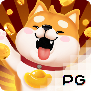 bet9九州注册